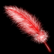 Red Nick