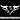 SLAYER rank badge